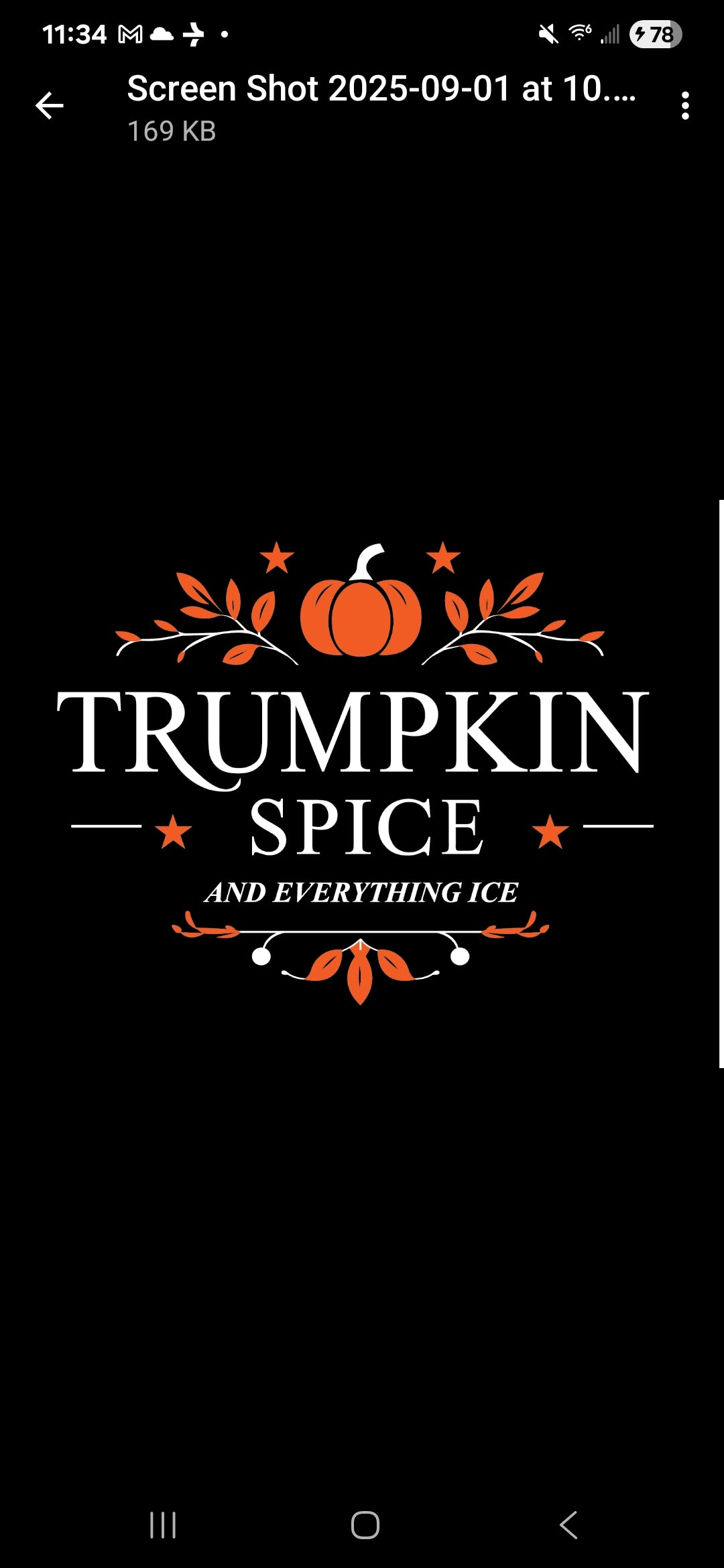 Trumpkin Spice and Everything Nice Black Sweatshirt