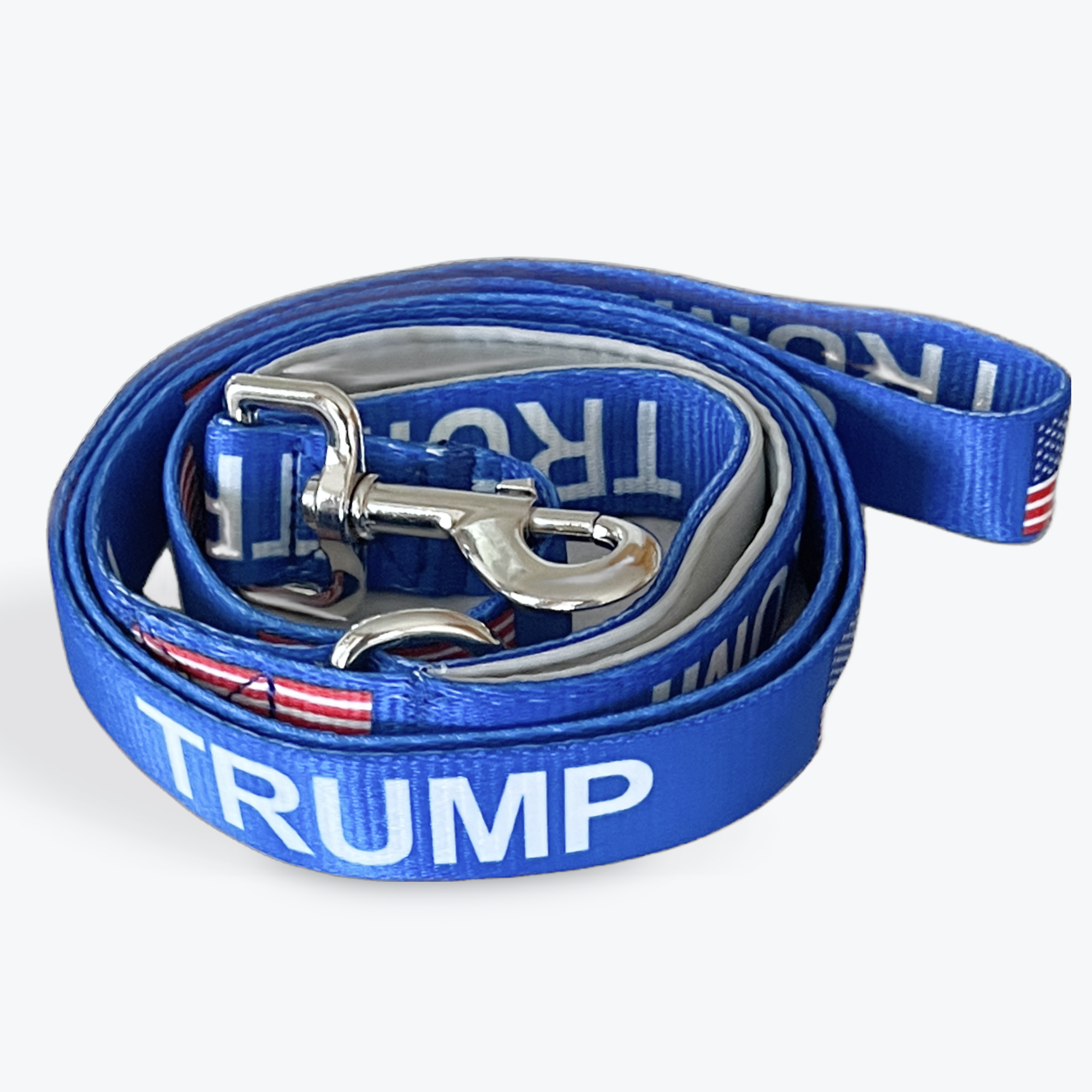 Dog Lead/Leash (5 foot) Blue