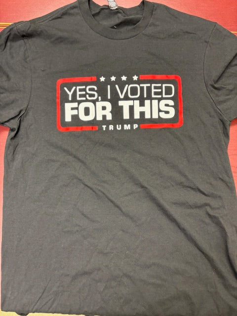 Yes, I voted for this Shirt